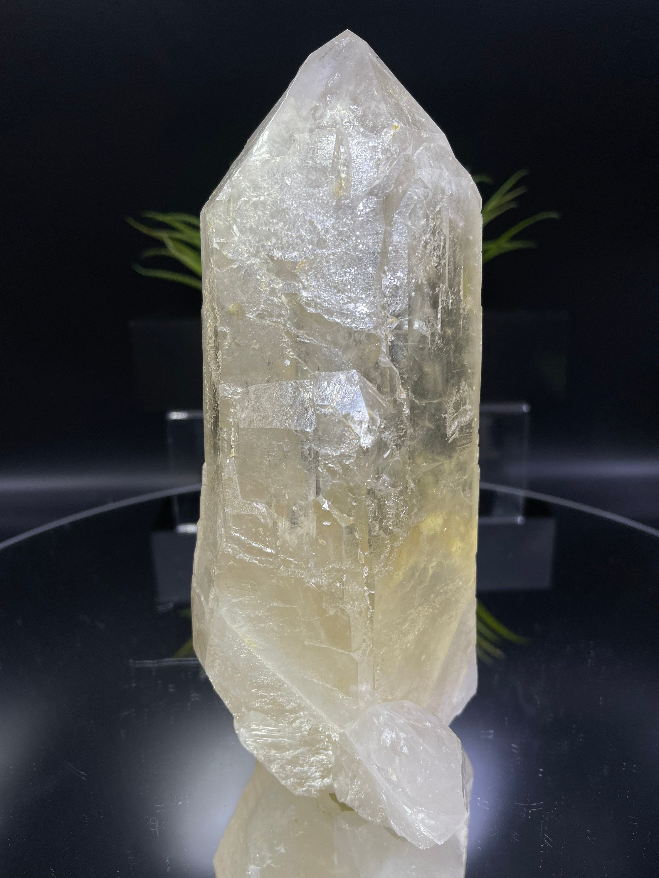 新発見！ 完璧な 8 インチのカテドラル シトリン。損傷がなく、完璧な