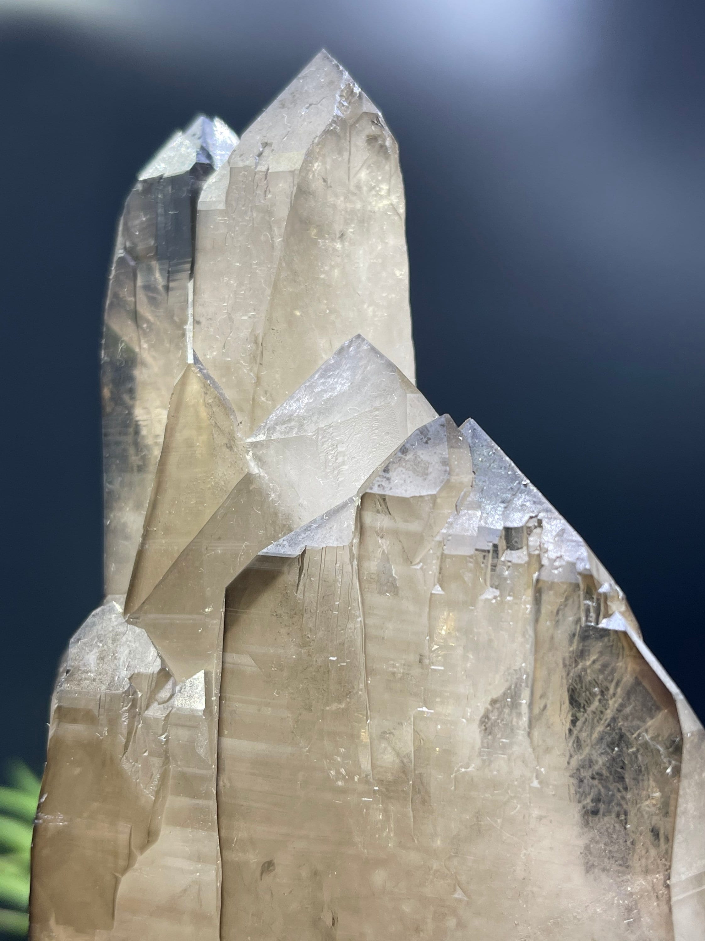 新発見！XL 8インチのカテドラルシトリン。ダメージがなく、完璧な