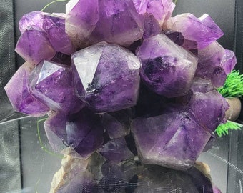Spectacular 7" Amethyst Starburst Formation From Sanda, Rep. of Congo