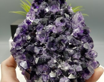 XL 7 インチ、素晴らしい特徴を備えた超 AA 品質のアメジスト