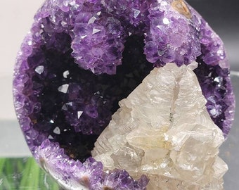 Rare 5" Collector Amethyst w/ Terminated Calcite Feature. Very Rare Combo!! Artigas, Uruguay