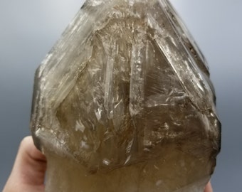 Flawless 6.5&quot; Smokey Elestial Alligator Quartz Thats Damage Free And Super Gemmy with Perfect Terminations!! Unbelievable Quality!! *Brazil*