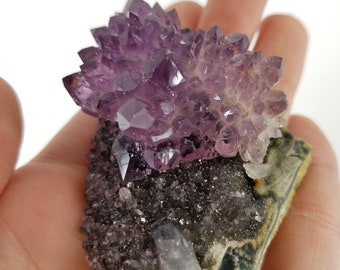 New One Time Find From Uruguay. 2.5&quot; Black Galaxy w/ Amethyst Flower, From Las Torres. One Of a Kind Material.