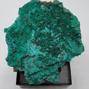Pode incluir: Um grande espécime mineral verde com uma superfície áspera e texturizada. O espécime é exibido em uma base preta.