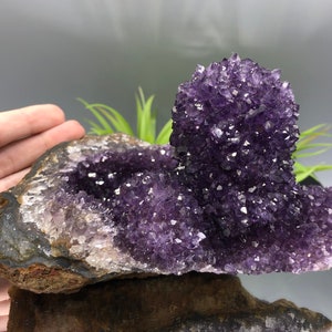 New Stunning 6.5&quot; &quot;From Earth&quot; Amethyst Stalactite Formation From Artigas, Uruguay!!