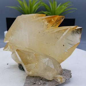 New Find, New Pocket!!! 12/11/18 Absolutely Unreal, XL Cabinet 6.5" Elmwood Mine Calcite On Dolomite Matrix In Its Finest Form!!