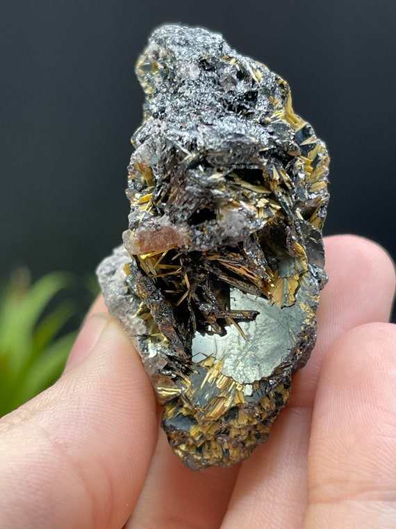 Rare, World Class 2.5