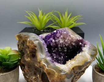 7.5&quot; Extra AA Quality Amethyst Geode Bowl From Las Torres Mine. Artigas, Uruguay.