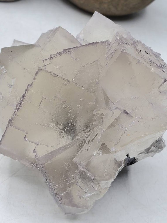 3/21 の見事な新発見! 希少な 3.5 インチのコレクター向けエルムウッド