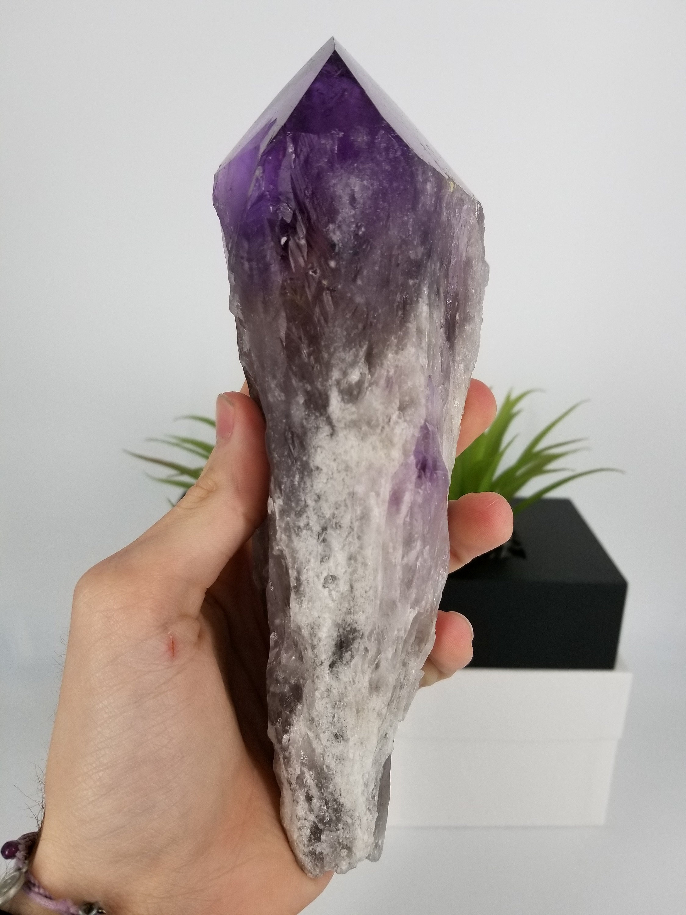 ブラジル、バイーア産のゴージャスな XXL 8 インチの高品質天然