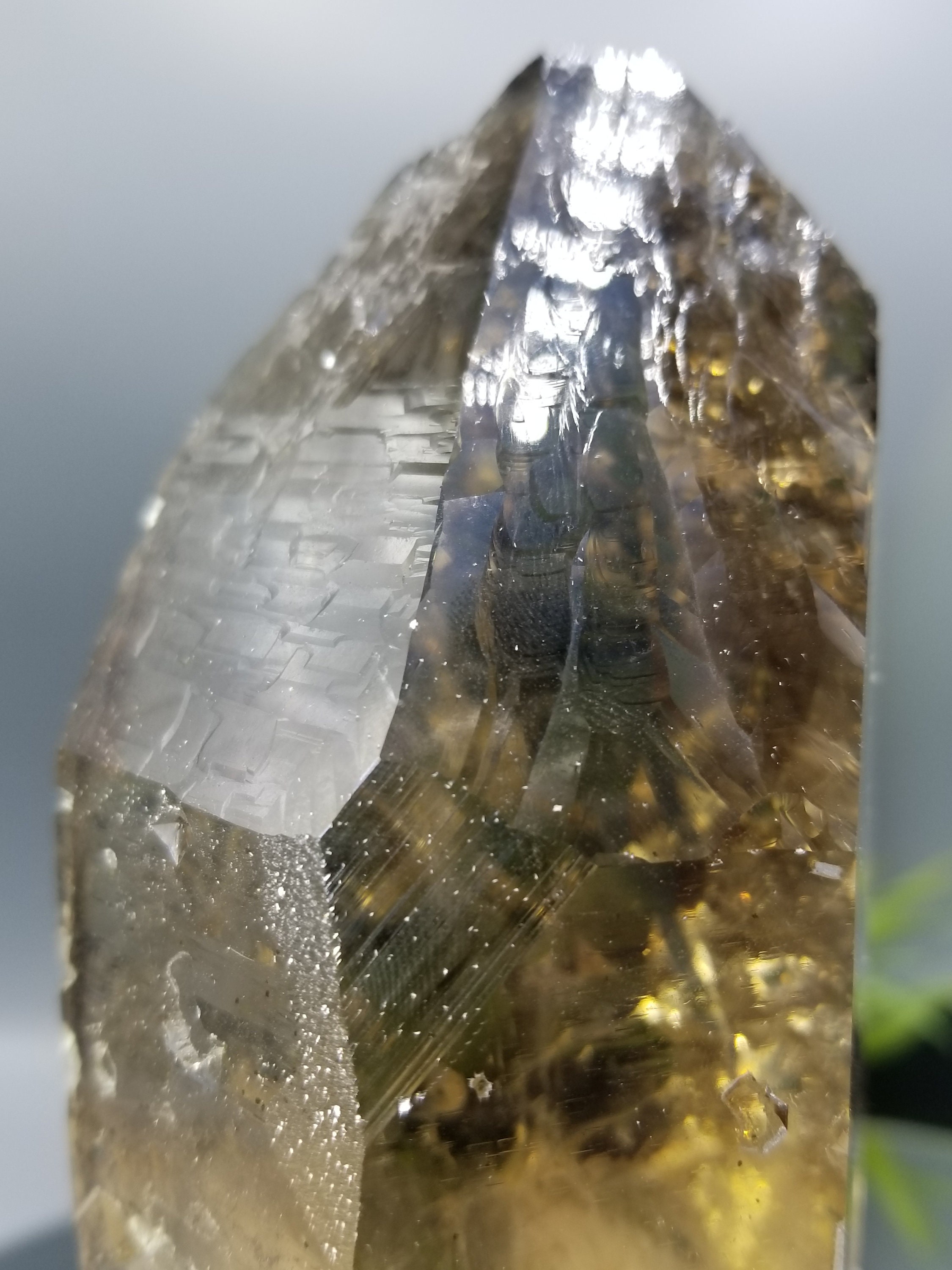 世界クラスの 7.5 インチ カテドラル シトリン。損傷がなく、非常に