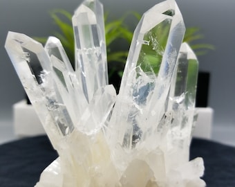 World Class 5&quot; Optical Quartz Formation From Penas Blancas Mine, Colombia