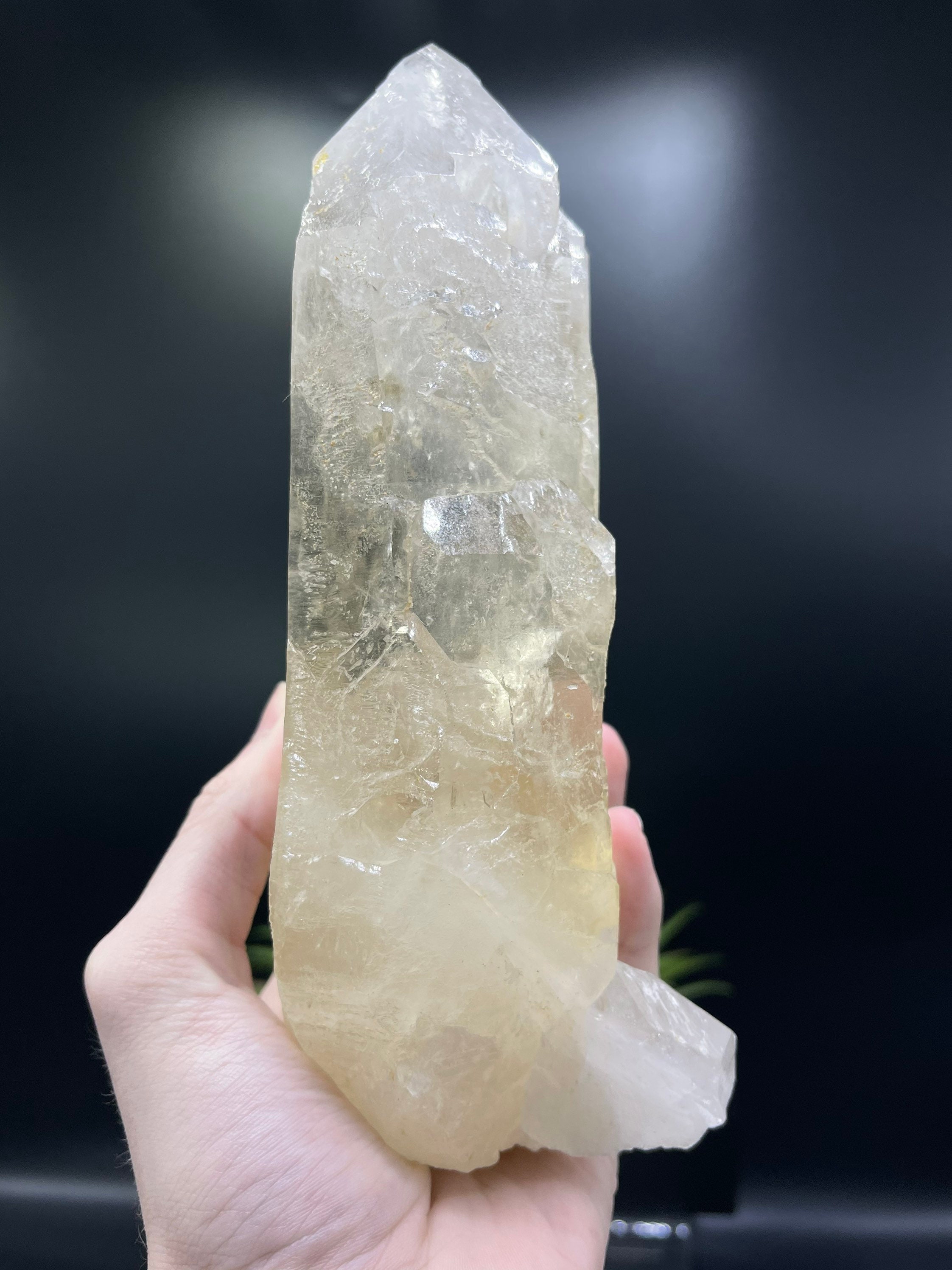 カテドラルシトリン 新発見！ 完璧な 8 インチのカテドラル シトリン。損傷がなく