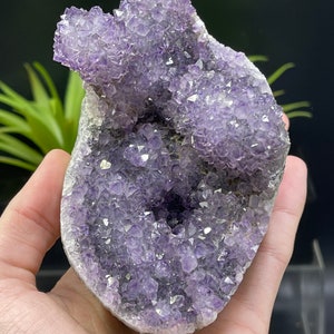 5&quot; AA Quality Amethyst Stalactite Formation, Las Torres Mine. Artigas, Uruguay.