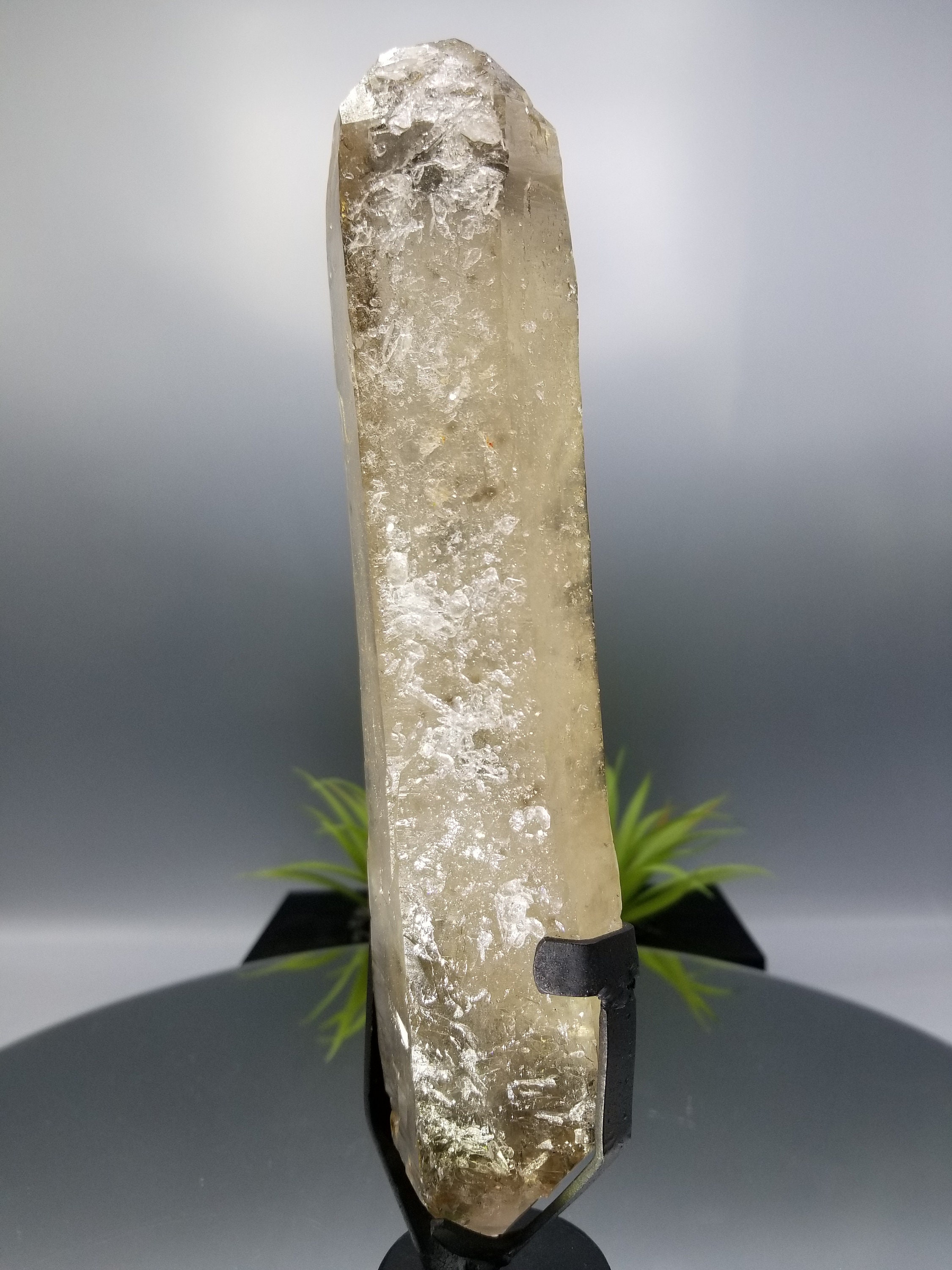 M2043☆スモーキーシトリンカテドラルクォーツ9.8Kg☆天然石☆N60712 世界クラスの 10 インチ DT カテドラル スモーキー シトリン クォーツ