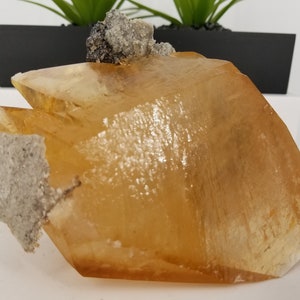 New Find, 11/11/19, Gorgeous XXL 5.5" Elmwood Mine Calcite On Dolomite Matrix In Its Finest Form.