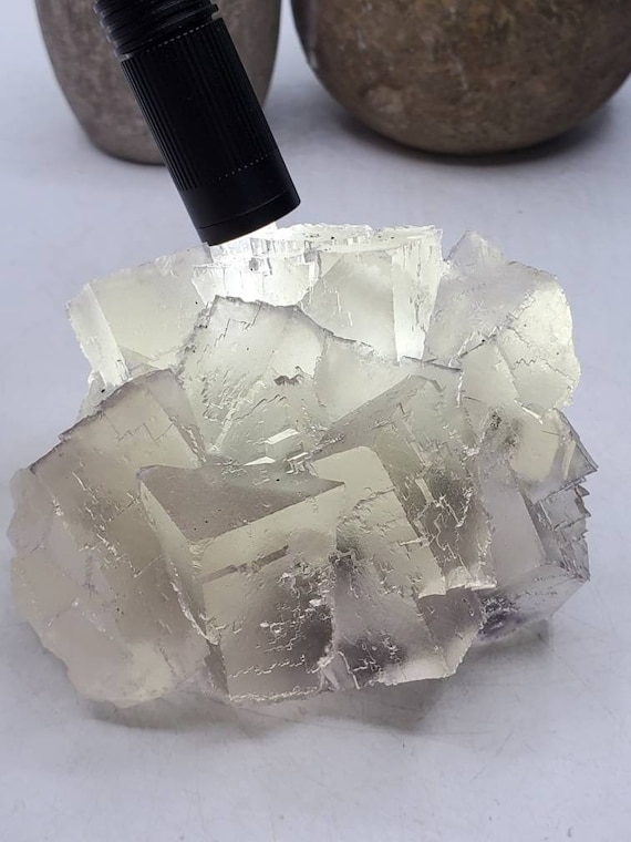 【コレクターズアイテム】エルムウッドフローライト 3/21 の見事な新発見! 希少な 3.5 インチのコレクター向けエルムウッド