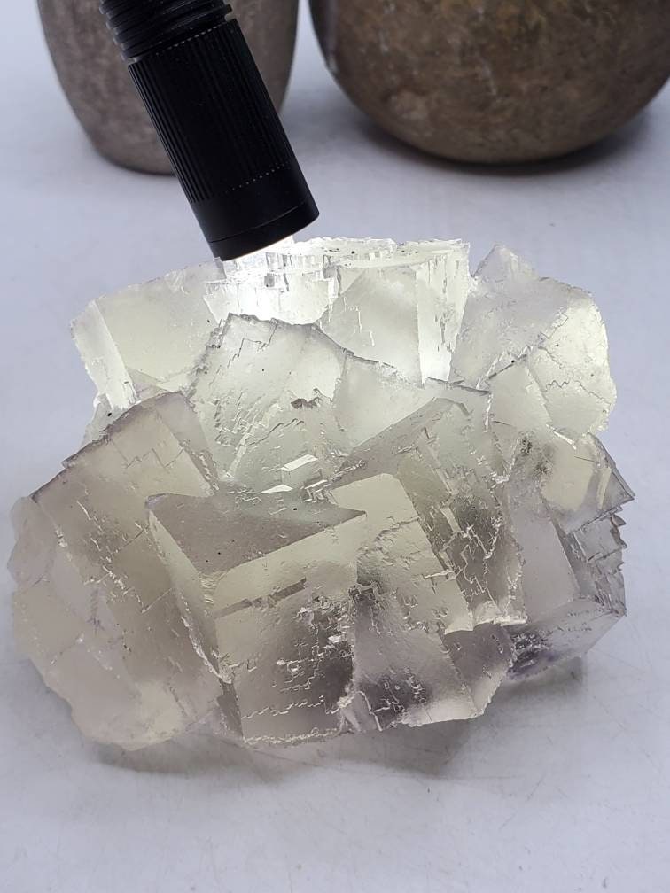 3/21 の見事な新発見! 希少な 3.5 インチのコレクター向けエルムウッド