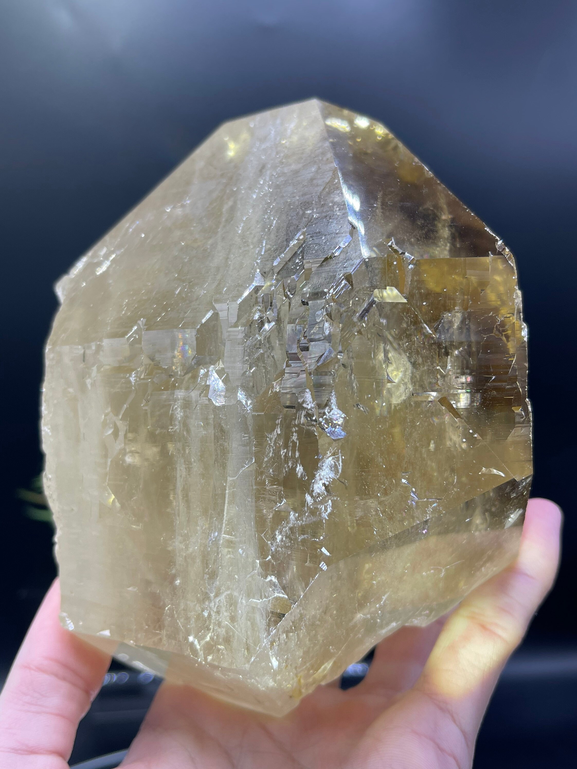 新発見！ 完璧な 4.5 インチのカテドラル シトリン。損傷がなく、完璧