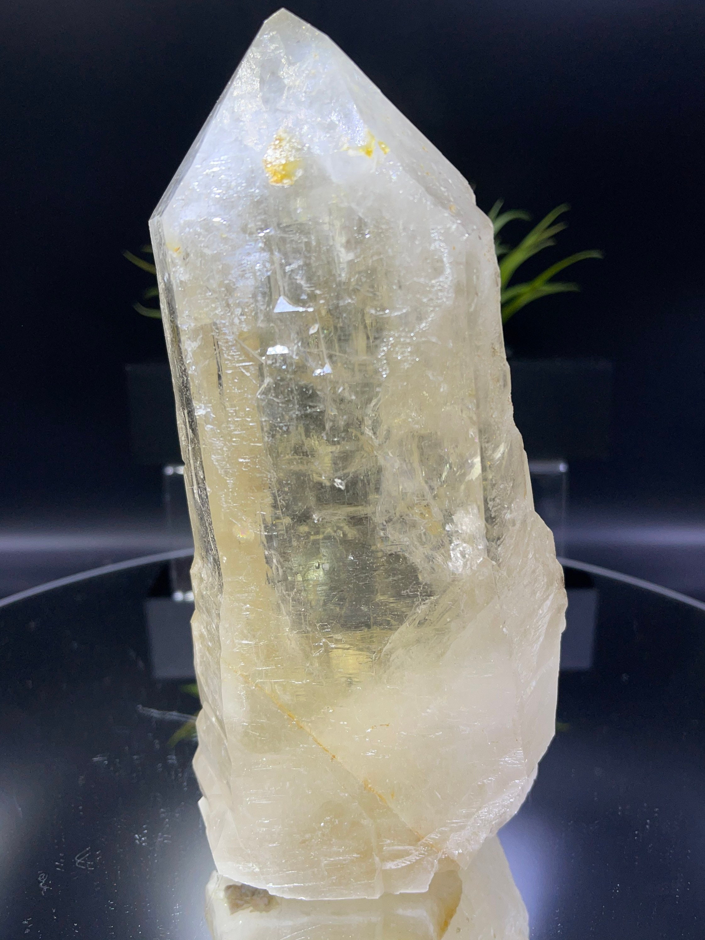 カテドラルシトリン 新発見！ 完璧な 8 インチのカテドラル シトリン。損傷がなく、完璧な