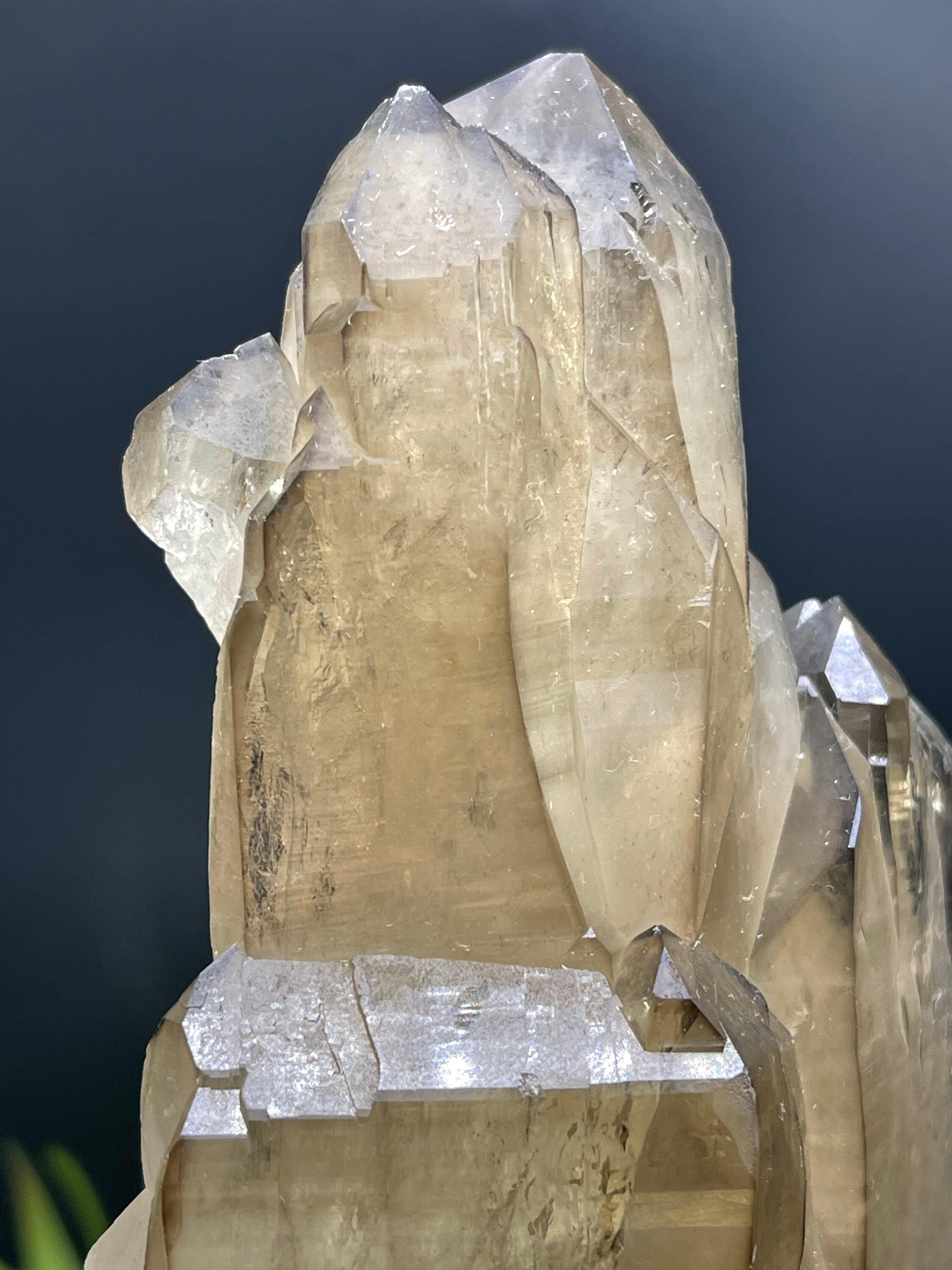 新発見！XL 8インチのカテドラルシトリン。ダメージがなく、完璧