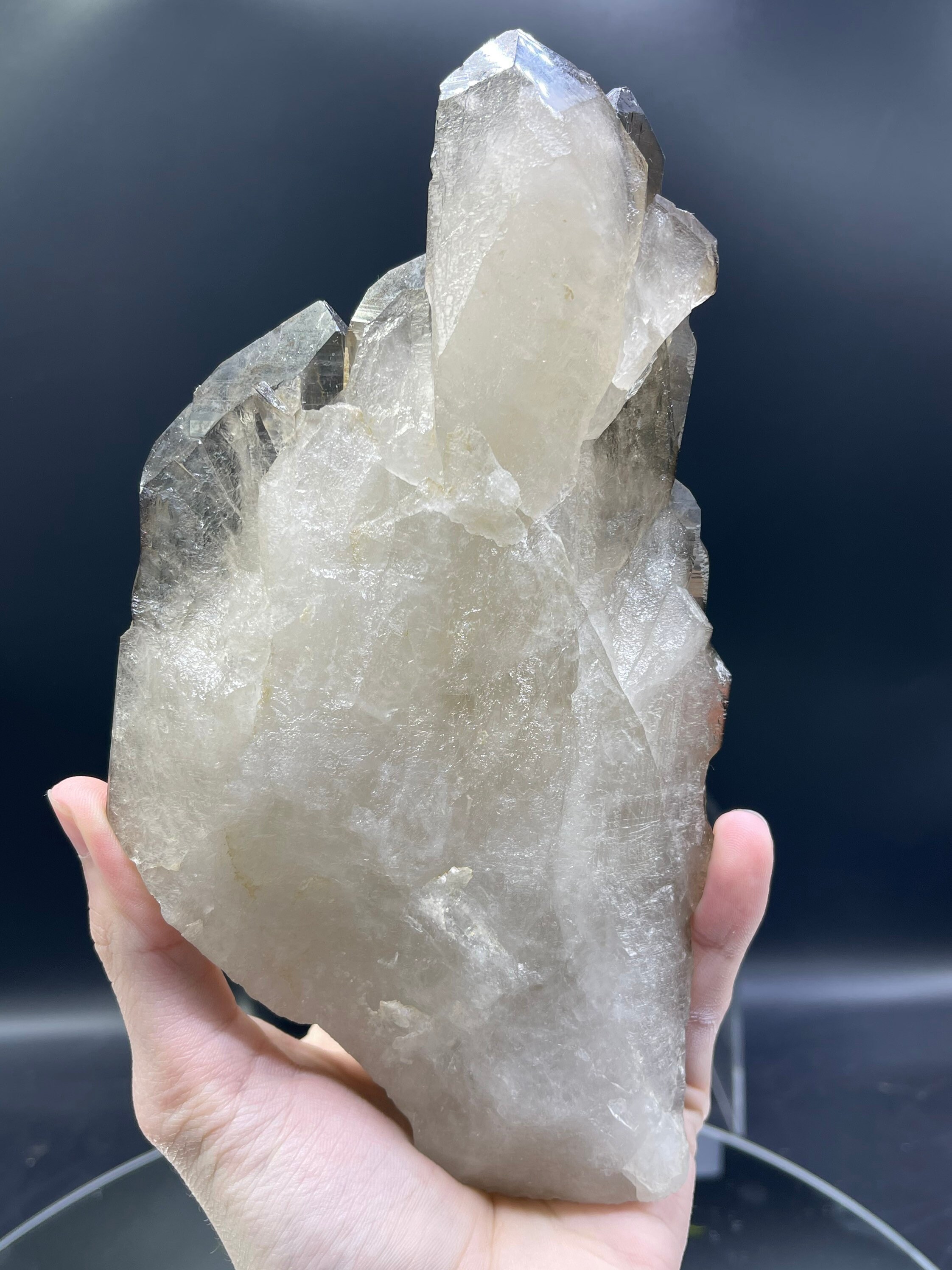 新発見！XL 8インチのカテドラルシトリン。ダメージがなく、完璧