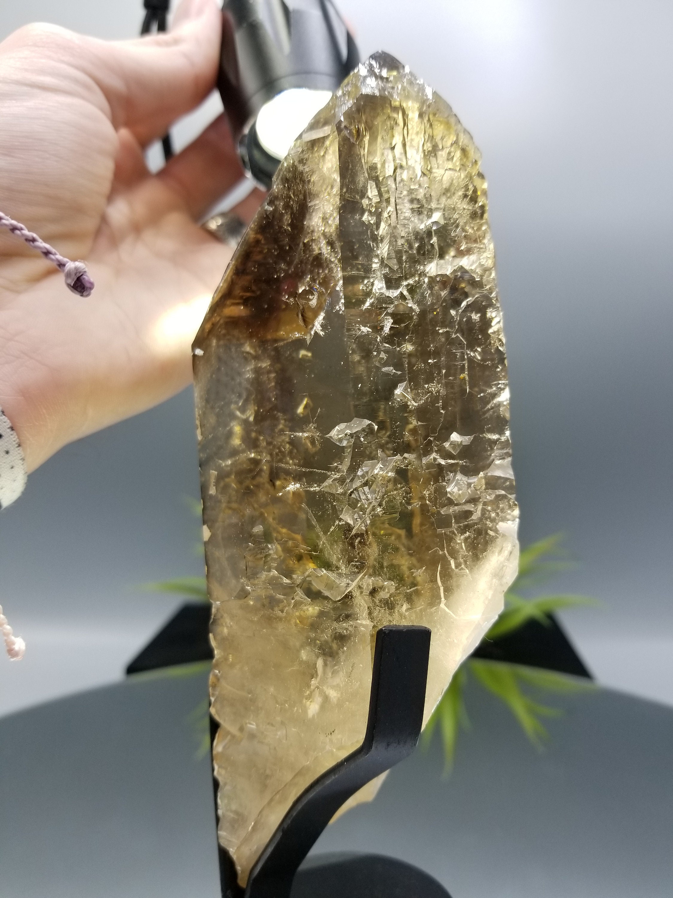 世界クラスの 7.5 インチ カテドラル シトリン。損傷がなく、非常に