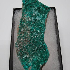 Pode incluir: Um espécime mineral verde e cinza com uma forma irregular e áspera. O espécime é coberto por pequenos cristais brilhantes.
