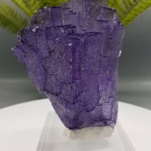 コレクターズアイテム】エルムウッドフローライト 新発見！ コレクター