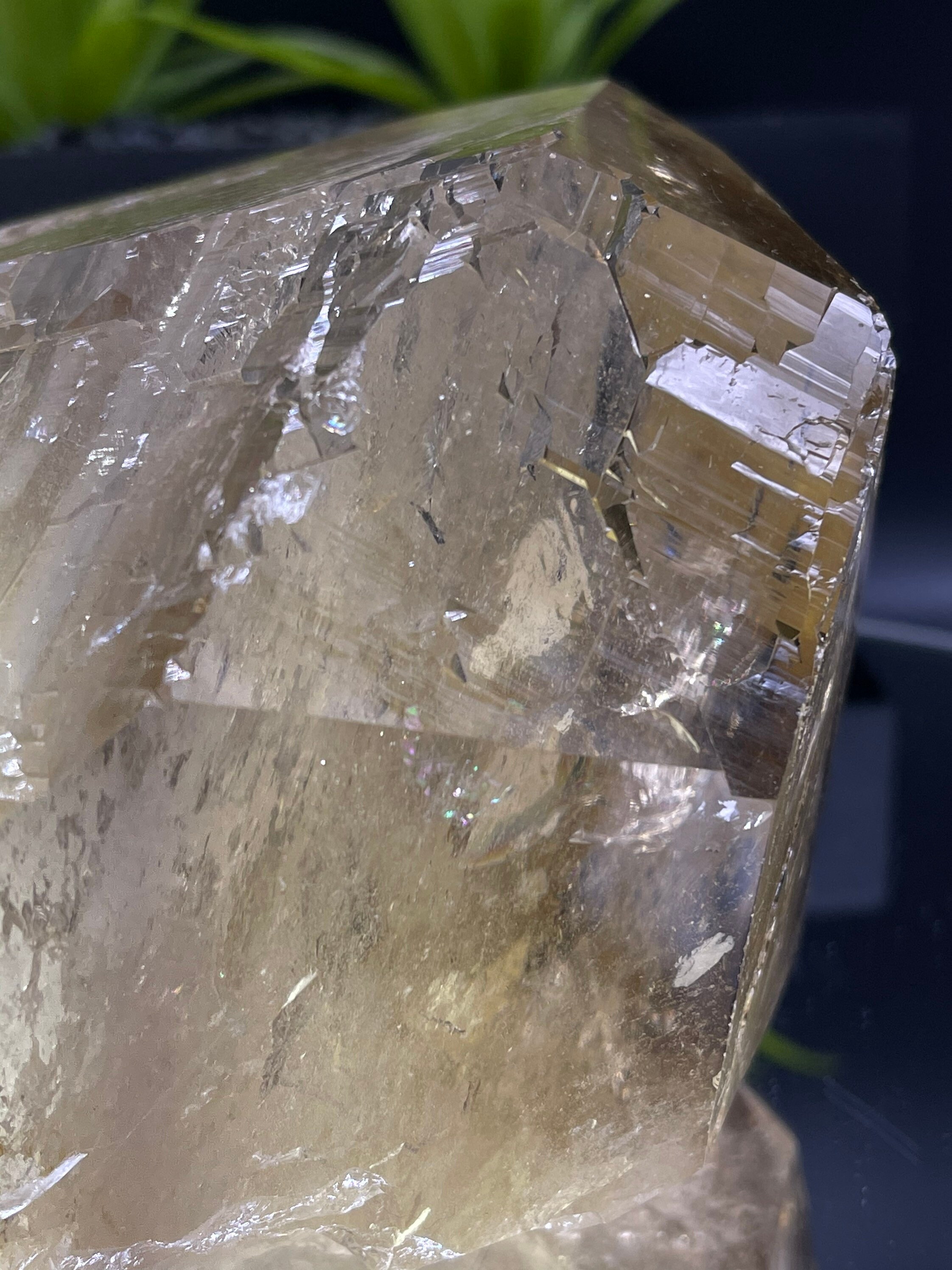 新発見！ 完璧な 4.5 インチのカテドラル シトリン。損傷がなく、完璧