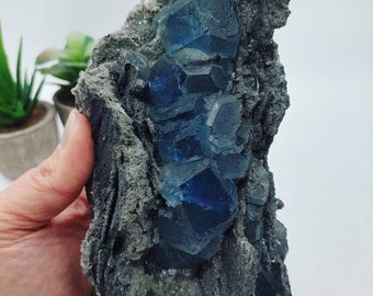 Gorgeous Blue Fluorite From Fujian, China. Epic 6” Fluorite Over Matrix.