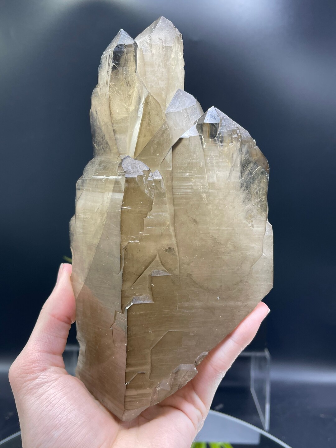 新発見！XL 8インチのカテドラルシトリン。ダメージがなく、完璧な