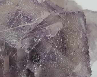 新発見！ コレクター御用達の 4.5 インチのエルムウッド フローライト