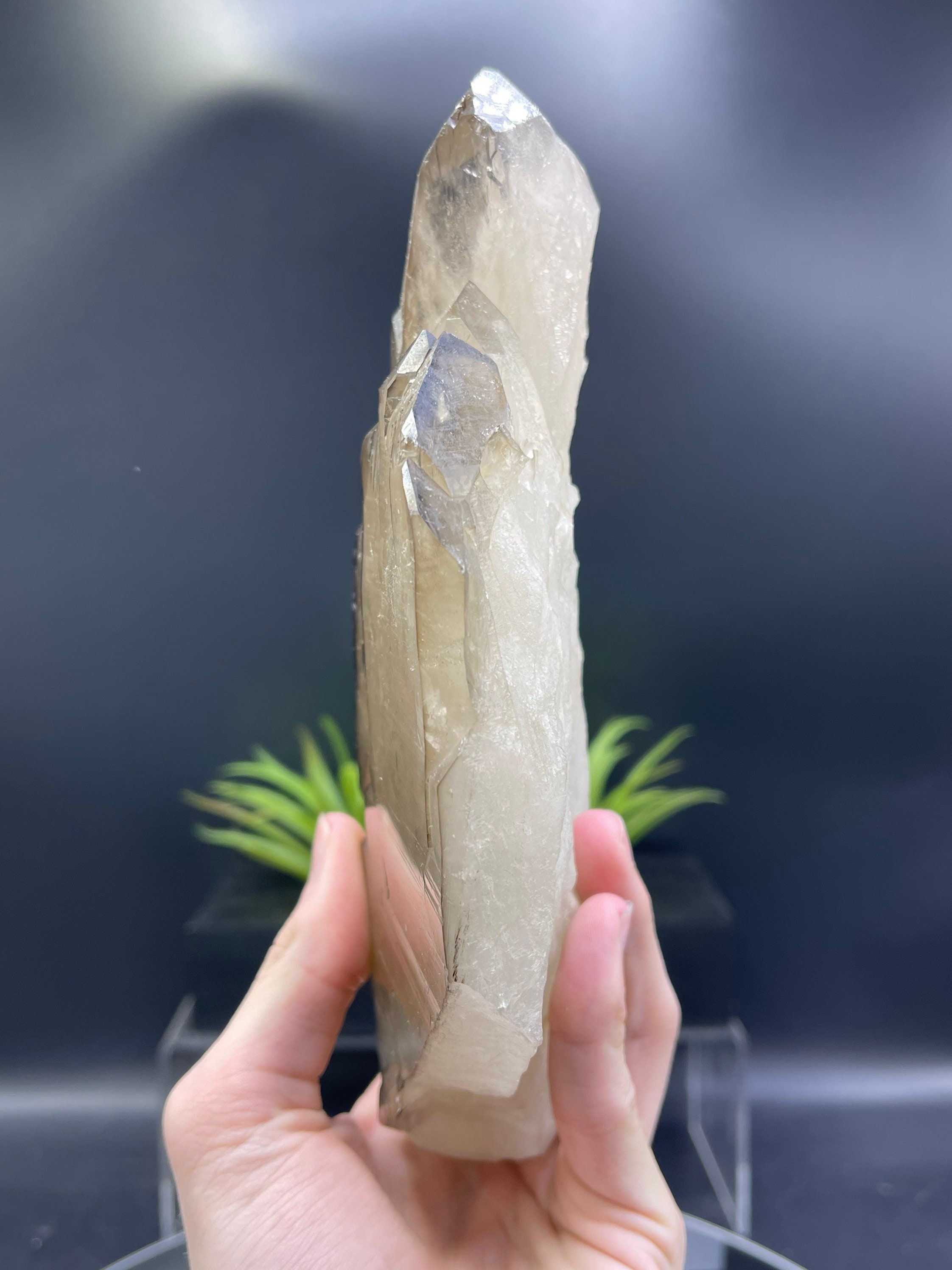 カテドラルシトリン シトリンのカテドラルポイント - 吉祥寺の天然石のお店『Seven Wishes』