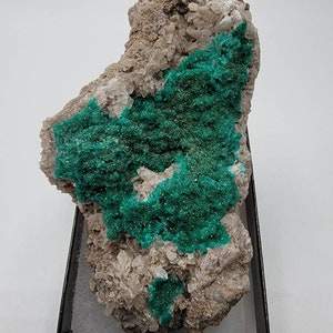 Pode incluir: Um espécime mineral verde com uma superfície áspera e texturizada. O mineral está incrustado em uma matriz rochosa cinza claro. O espécime é exibido em uma caixa preta.