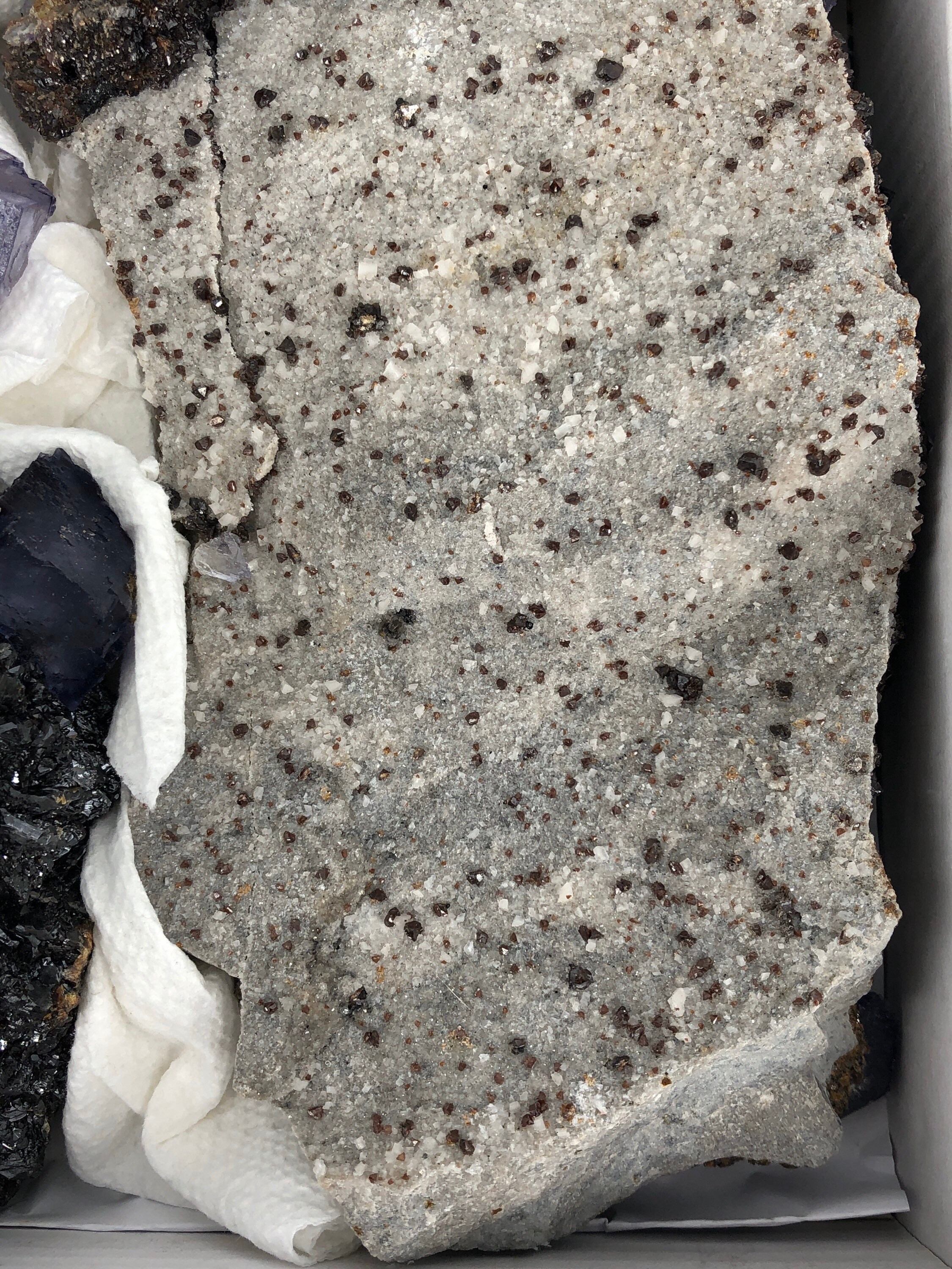 World Class 6pc Cherry eligió piso al por mayor mineral mixto | Etsy