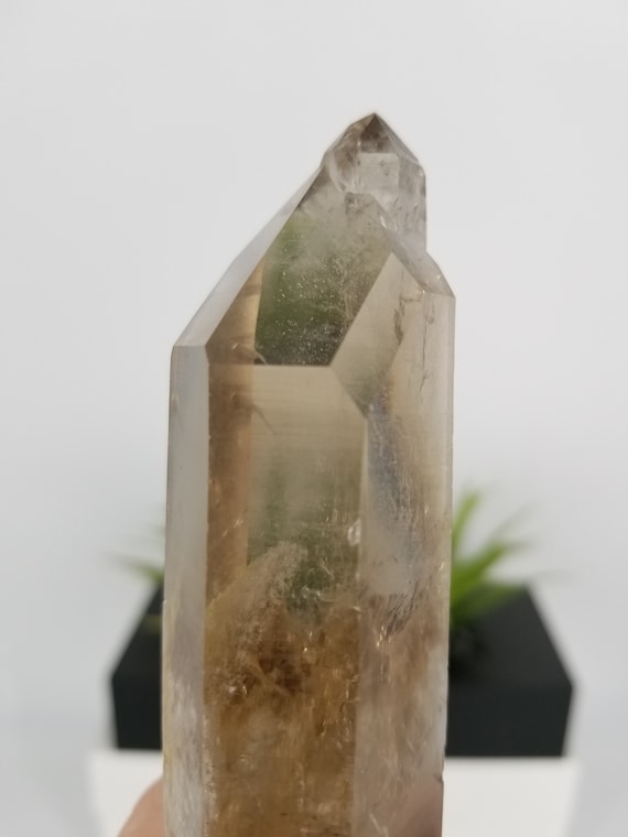 新発見！傷のない、完璧な仕上げの超宝石のような、完璧な 7 インチの