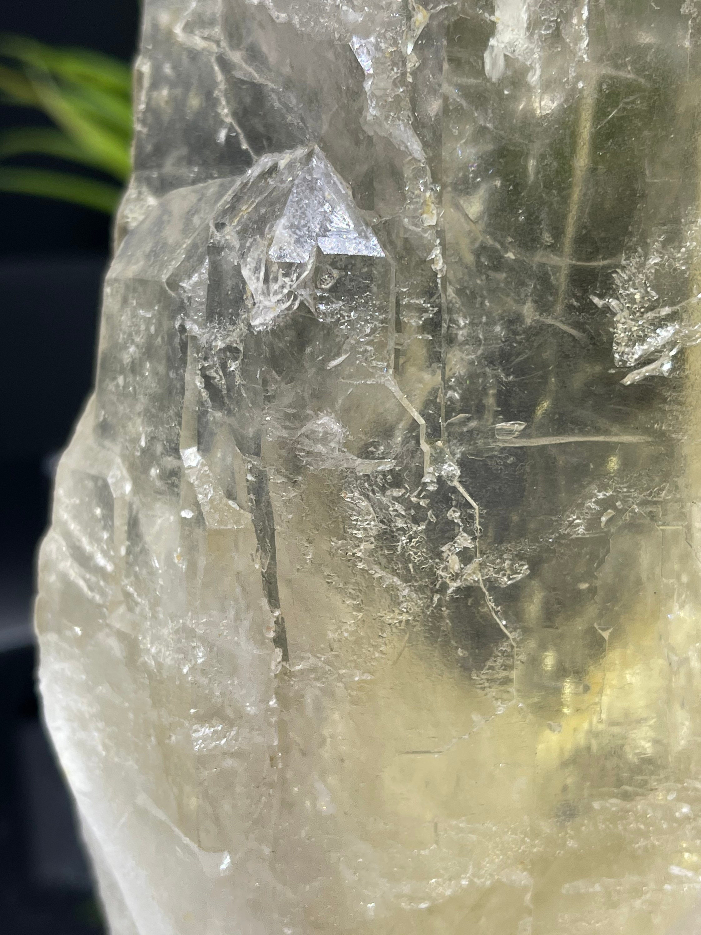 新発見！ 完璧な 8 インチのカテドラル シトリン。損傷がなく、完璧な