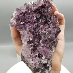 Nuevos hallazgos. Formación de racimo de amatista ahumada de calidad AA XL de 6,5&quot; con características épicas, mina Las Torres. Artigas, Uruguay.