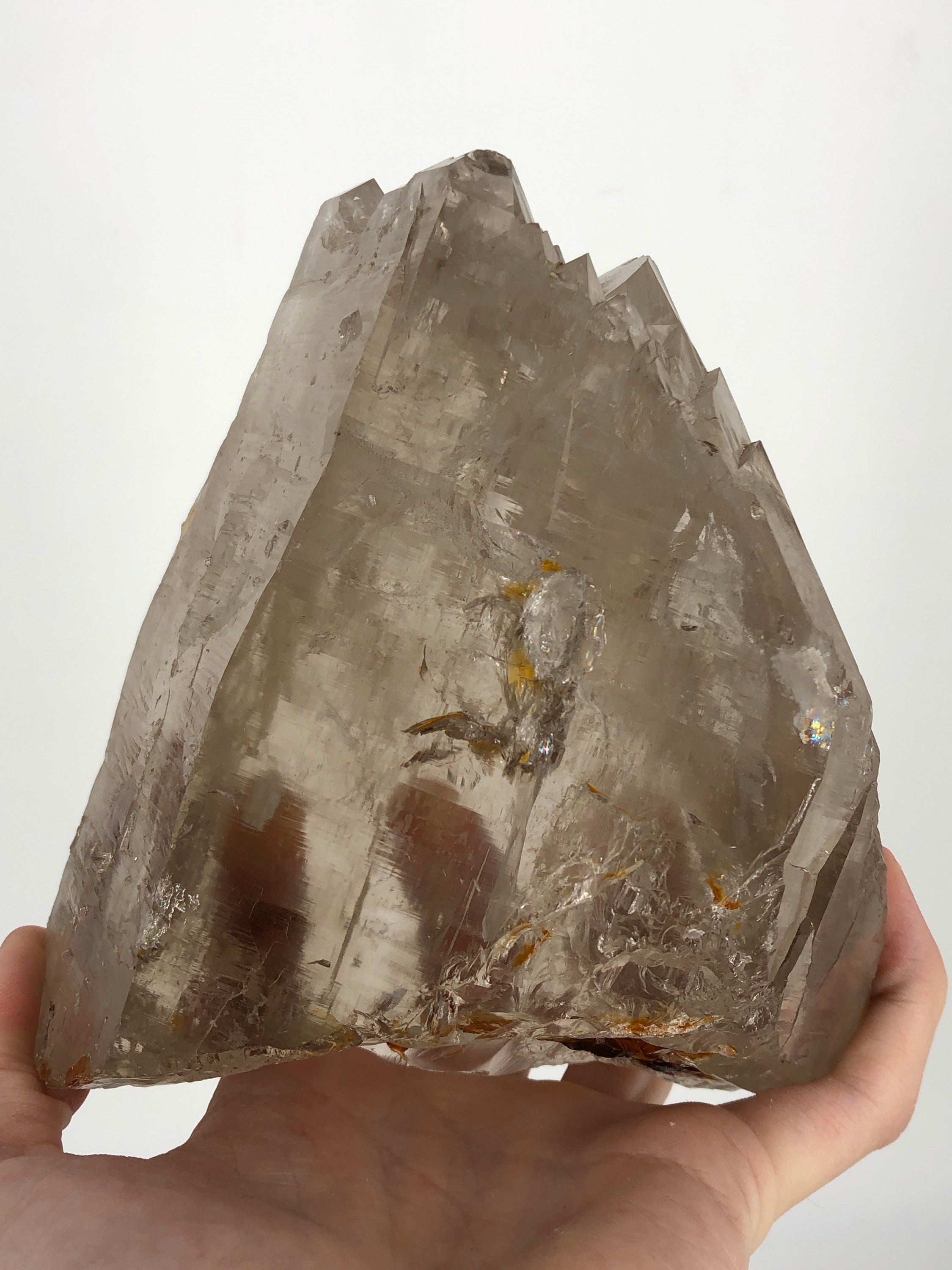 新発見！ 見事な 5.5 インチ DT カテドラル エレスチャル クォーツ