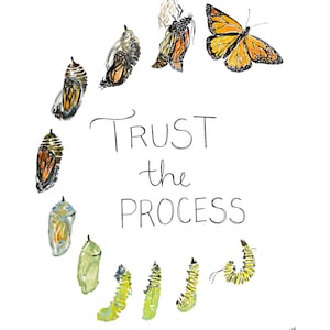 May include: A watercolour illustration depicting the life cycle of a butterfly, from caterpillar to butterfly, arranged in a circle. The words "Trust the Process" are written in cursive. The background is white.