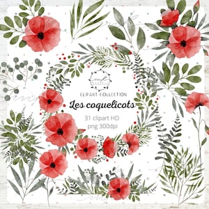 Clipart de coquelicots aquarelle, fleurs de pavot floral et bouquets en PNG, Illustrations de pavot rouge, téléchargement numérique, Clipart de fleurs, 300dpi