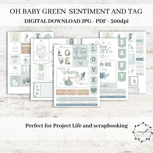 New born Sentiments , Clipart, Cut and Printable Files, project life tag, Word Labels for Cardmaking, Download, baby illustration months