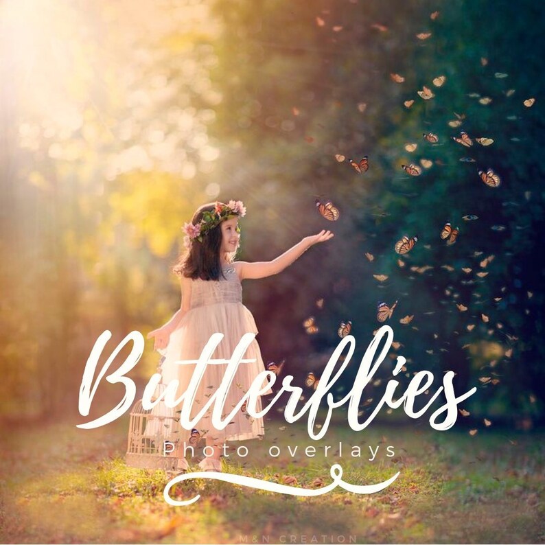 30 Butterfly Overlays Overlay Flying Butterflies Etsy UK