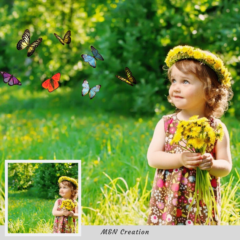 butterfly overlay aj butterfly overlay aj