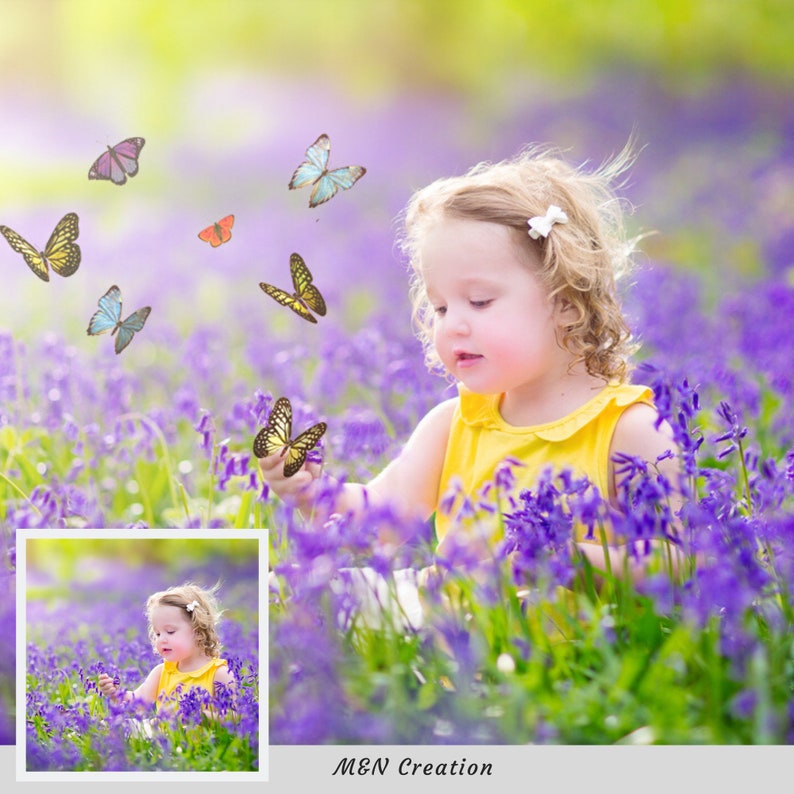 butterfly overlay aj butterfly overlay aj