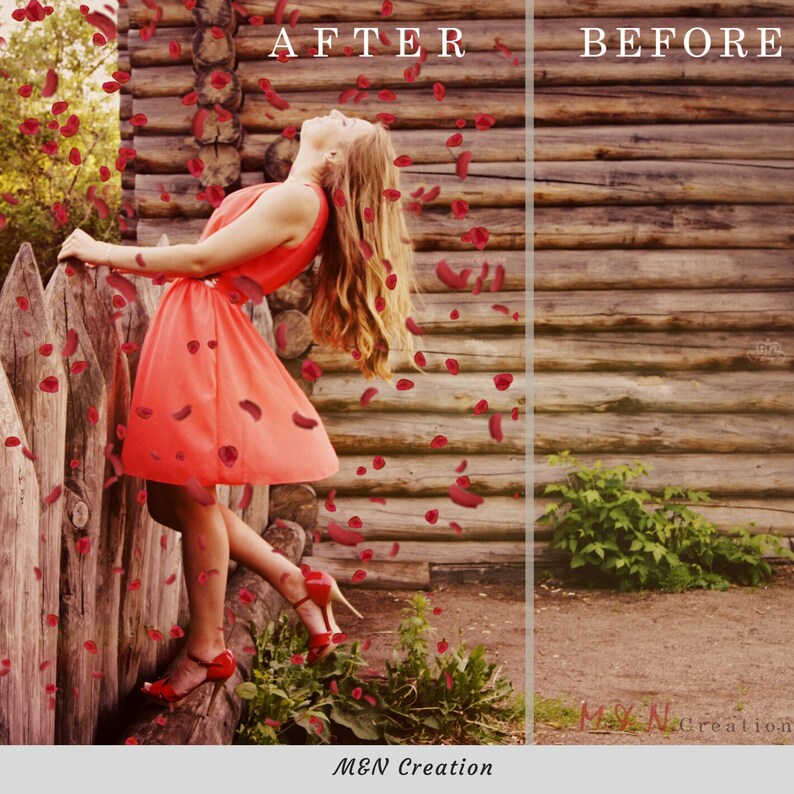 10 Falling Roses Petals Overlays Red Roses PNG Etsy