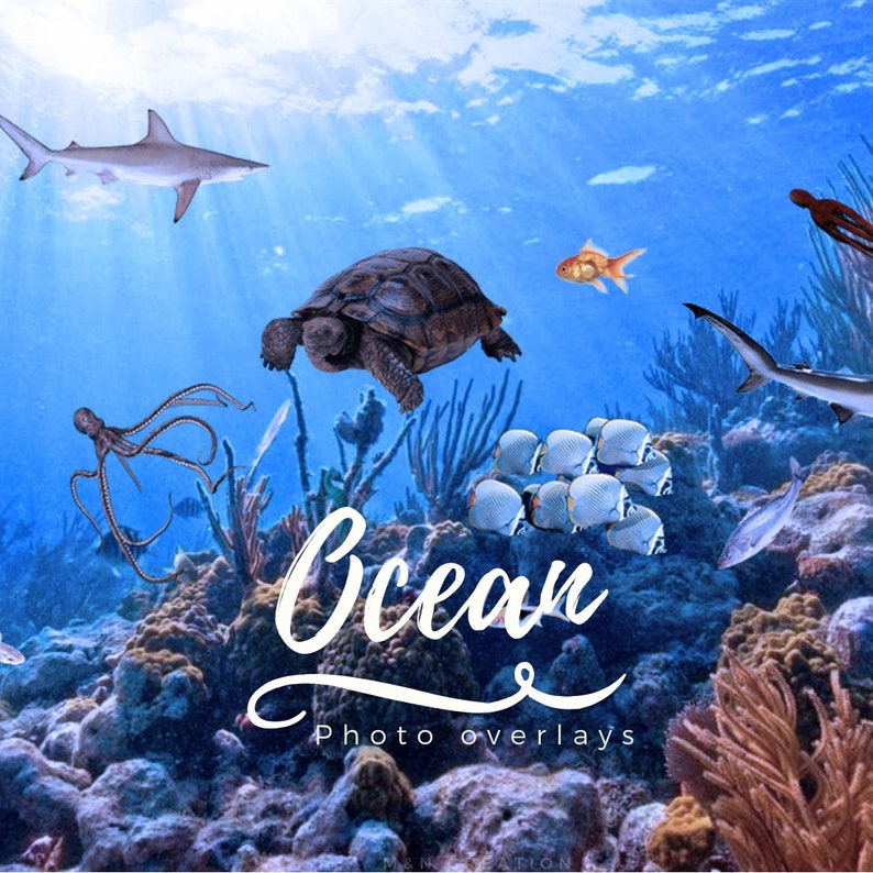 25 Ocean Overlays Fish Overlays Photoshop Overlay Sea - Etsy