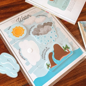Actividad para niños sobre el ciclo del agua, estudio de la naturaleza imprimible, juego de ciencias para jardín de infantes, herramienta de enseñanza para la escuela en el hogar, ciencias primarias, juego de correspondencias