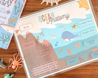 Ocean Anatomy Printable, Ocean Zones Activity, Ocean Vocabulary, Deep Sea Learning, Kids Nature Study, Ocean Animals, Homeschool Printable